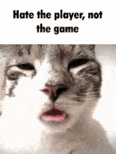a close up of a cat with the words hate the player not the game