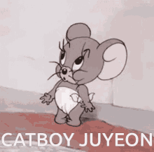 a cartoon mouse in a diaper with the name catboy juyeon below it