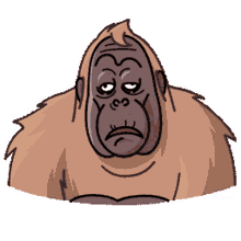 orang orangutan