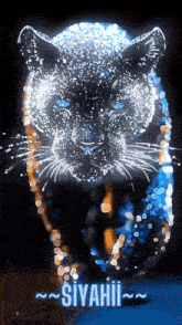 a black panther with blue eyes and the word siyahii on the bottom right