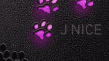 Jnice Cat Pink GIF - Jnice Cat Pink Cat Paws GIFs