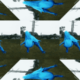 a collage of blue birds with the website imgflip.com on the bottom