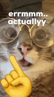 a cat wearing glasses and a yellow finger pointing up with the words errmm actually yy