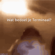 Terminaal Hamster GIF - Terminaal Hamster Dark Meme GIFs