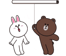 cony friends