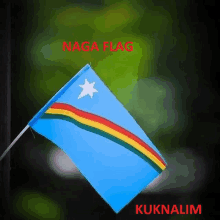 Naga Flag Nagaland Flag GIF