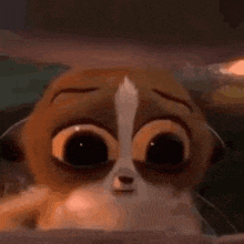 a close up of a cartoon cat with big eyes and a white nose .