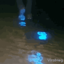 Glowing Footprints Viralhog GIF - Glowing Footprints Viralhog Shining Footprint GIFs