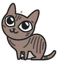 kitten cat