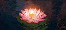 a lotus flower with a candle inside of it is floating on top of a body of water .