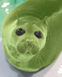 a close up of a green seal with a snail on its head