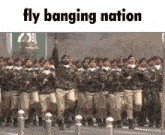 Fly Banging GIF - Fly Banging GIFs