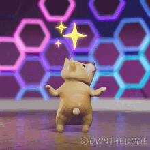 Twerking The Doge Nft GIF - Twerking The Doge Nft Dance Moves GIFs