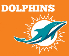 Miami Dolphins GIF - Miami Dolphins GIFs