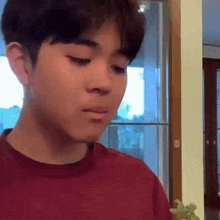 a young man in a red shirt is holding a green frog in his hand .