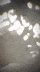 a shadow of a person is cast on a wall by a window