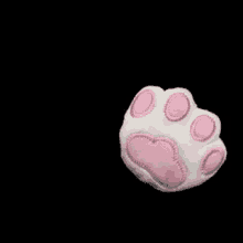 Cat Hand GIF - Cat Hand GIFs