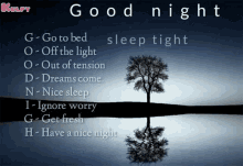 Goodnight Goodnight Special Wishes GIF - Goodnight Goodnight Special Wishes Goodnight With Quotations GIFs