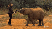 Elephant Smart Animal GIF - Elephant Smart Animal Playing GIFs