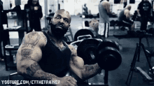 Arms Isymfs GIF - Arms Isymfs Ctthetrainer GIFs