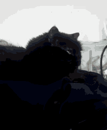 Cat Black GIF - Cat Black Animal GIFs