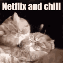 Netflix Netflix And Chill GIF - Netflix Netflix And Chill Movie GIFs