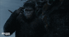 Planet Of The Apes Caesar GIF - Planet Of The Apes Caesar Sign Language GIFs