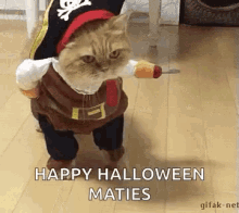 Pirate Cat GIF - Pirate Cat Creeping GIFs