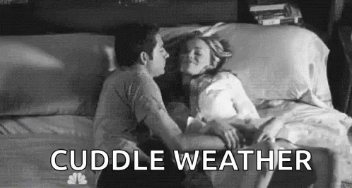 cuddle weather meme
