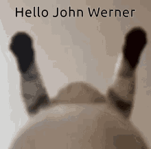 John Werner GIF - John Werner GIFs