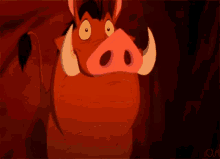 Pumba Shocked GIF - Pumba Shocked Jaw Drop GIFs