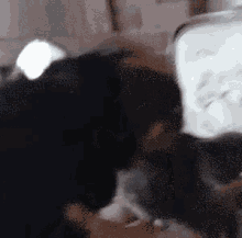 a blurred image of a person 's face with a white object in the background