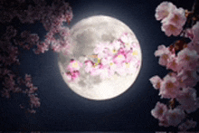 a full moon is surrounded by pink flowers in a dark night sky .