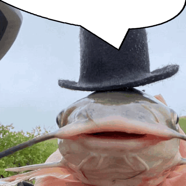 Fish Speech Bubble GIF - Fish Speech Bubble Top Hat - Discover