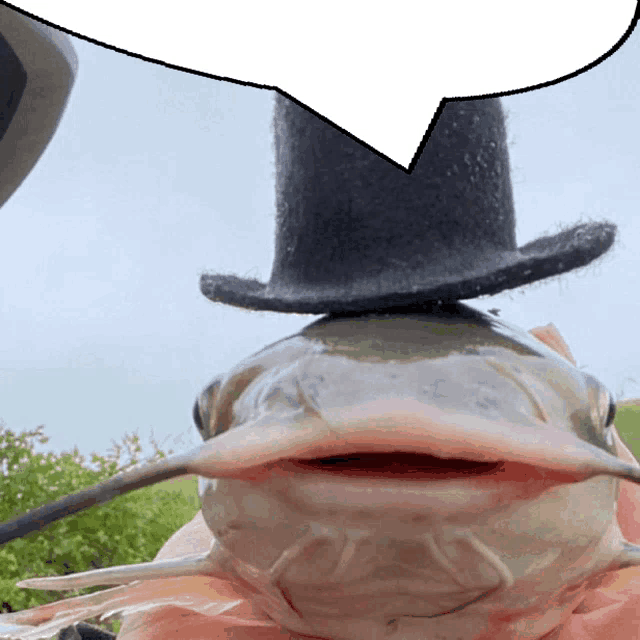 https://media.tenor.com/sIVPlRv2JVcAAAAe/fish-speech-bubble.png