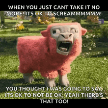 a pink sheep with its mouth open is screaming in a field