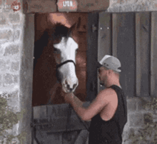 Cavalo A Fazenda GIF - Cavalo A Fazenda GIFs