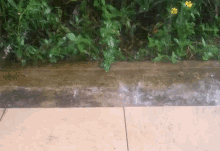 Hujan Rain GIF - Hujan Rain GIFs