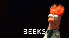 a stuffed animal with red hair is holding a microphone and the word beeks is on the bottom