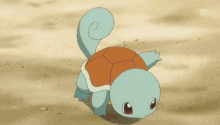 squirtle pokemon squirtle aqua tail squirtle uses aqua tail