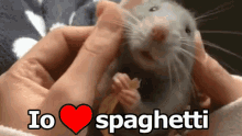 Spaghetti Amo Gli Spaghetti Criceto Pasta GIF