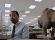 Mike Mike Mike Hump Day GIF - Mike Mike Mike Hump Day What Day Is It Mike GIFs