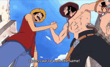 One Piece One Piece Is Real GIF