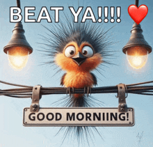 a bird sitting on a wire with a good morning sign
