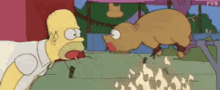 Homer And Pig - Bbq GIF - Bbq Barbecue Homer Simpson GIFs