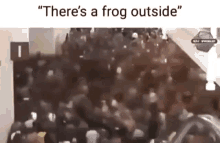 Theres A Frog Outside GIF - Theres A Frog Outside GIFs