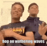 Hop On Wuthering Waves Wuwa GIF - Hop On Wuthering Waves Wuthering Waves Wuwa GIFs