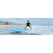 Malibu Surf Lessons Surf Lessons Malibu GIF - Malibu Surf Lessons Surf Lessons Malibu GIFs