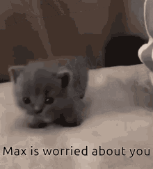 Max Is Worried About You GIF - Max Is Worried About You GIFs