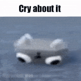 a blurred image of a cat with the words cry about it below it